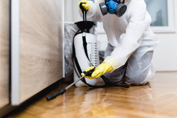 Flea Control Services in Algonac, MI
