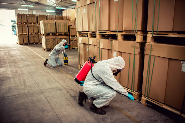Best Emergency Pest Control  in Algonac, MI