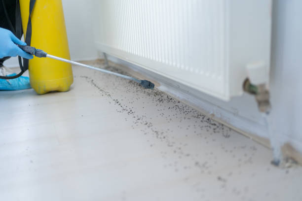 Reliable Algonac, MI Pest Control Solutions